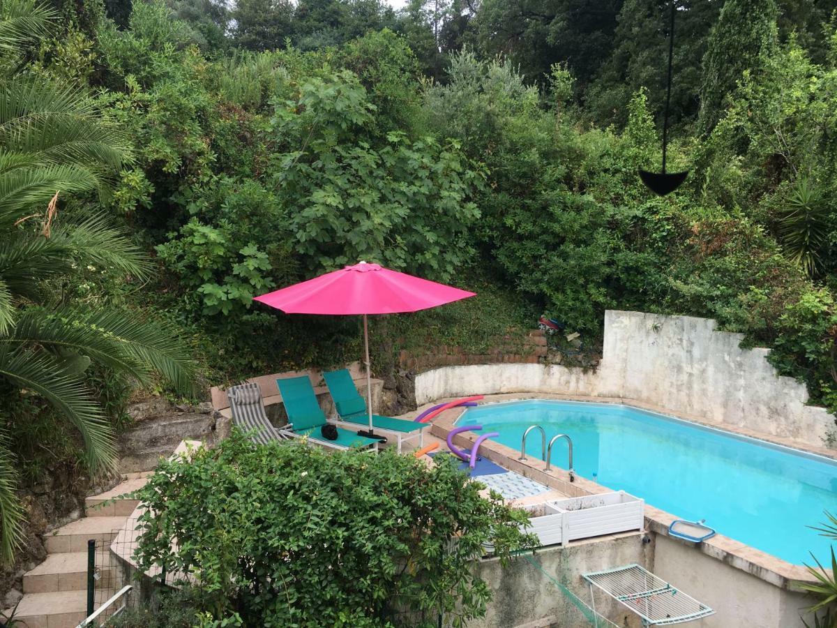 Le Cannet 10Mn Cannes Chambre Independante Etage D'Une Maison Avec Piscine Exteriör bild