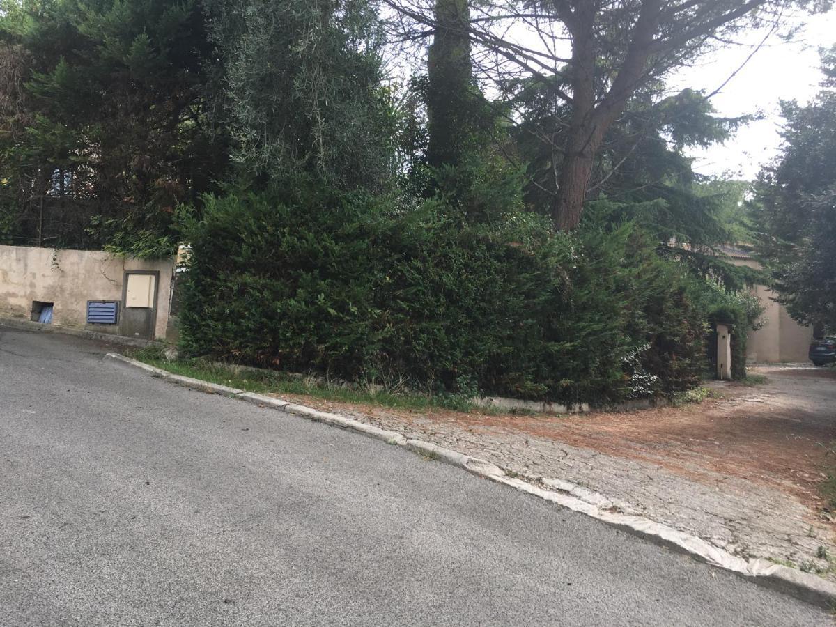 Le Cannet 10Mn Cannes Chambre Independante Etage D'Une Maison Avec Piscine Exteriör bild